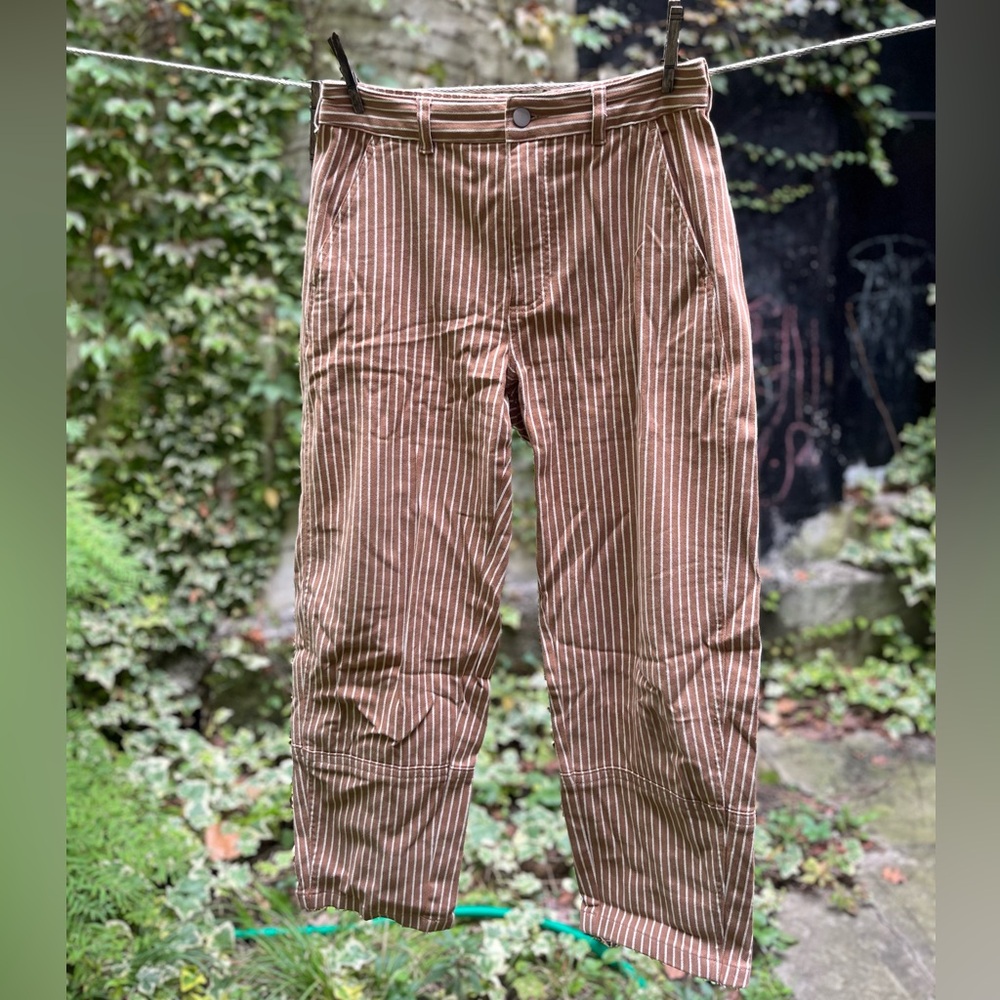 Everlane Brown Striped Wide Leg Pants
